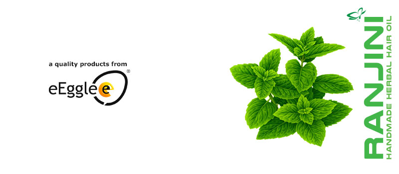 eEgglee-banner